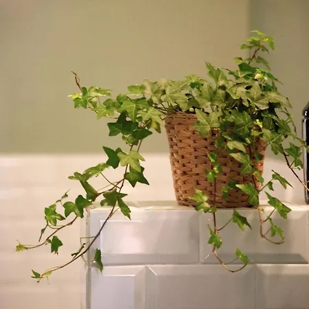 Apartamento Rossopetruzzelli La Vista Piu Bella Della Citta *