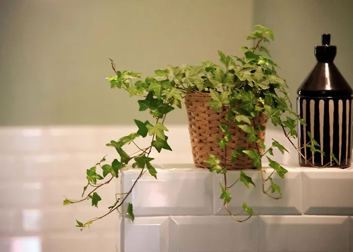 Apartamento Rossopetruzzelli La Vista Piu Bella Della Citta *